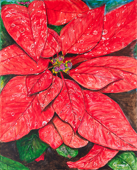“Poinsettia Bloom” – Original Artwork